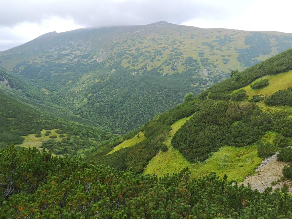 Turistika na vrch Rovná Hoľa